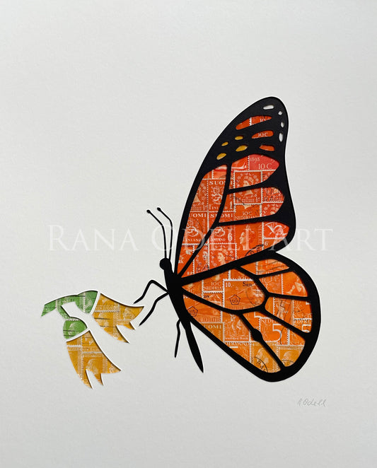 Monarch Butterfly