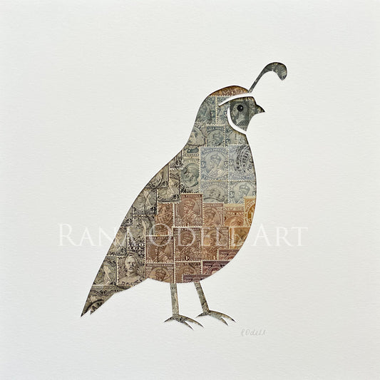 California Quail