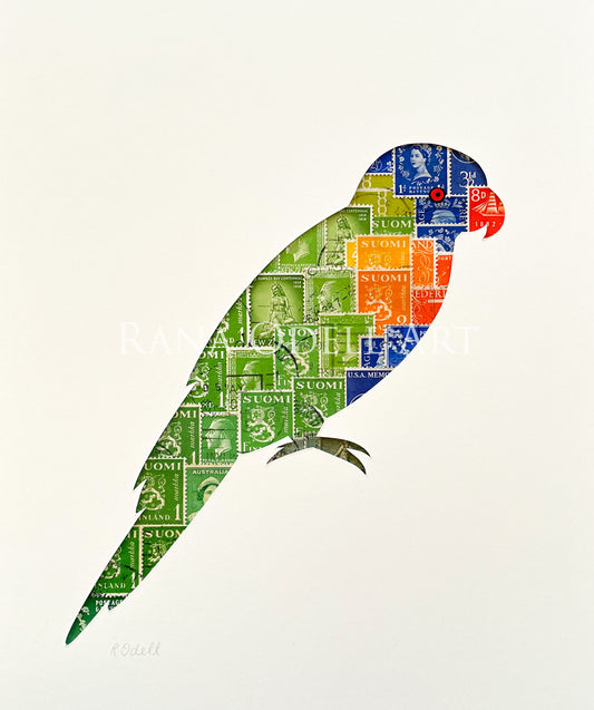 Rainbow Lorikeet