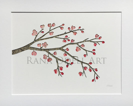 Cherry Blossoms